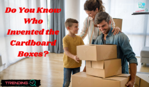 Do You Know Who Invented the Cardboard Boxes